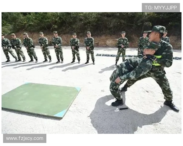 南京滑板队进攻战术解析与实战应用全面剖析