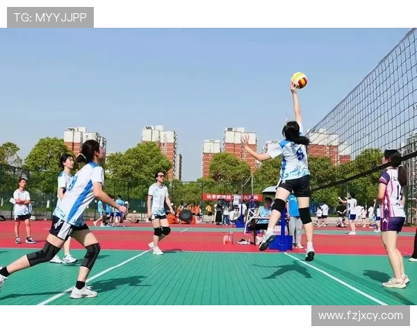 杭州排球队在杯赛中的意识表现分析与点评