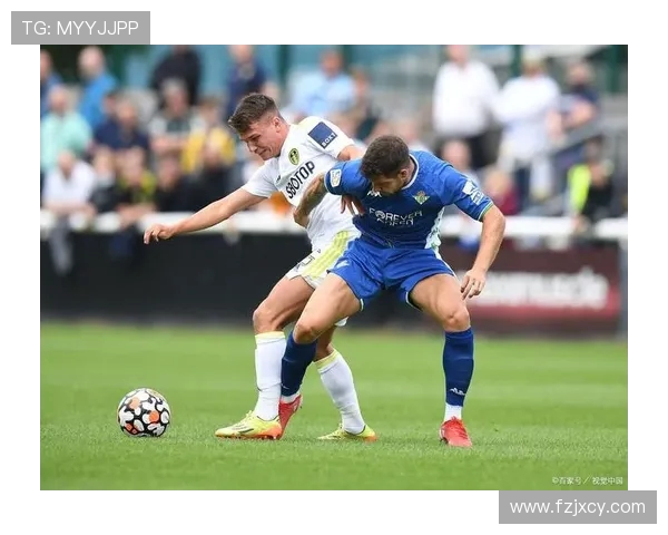 伯明翰对阵利兹联比赛前瞻及胜负预测分析 伯明翰对阵利兹联比赛前瞻及胜负预测分析